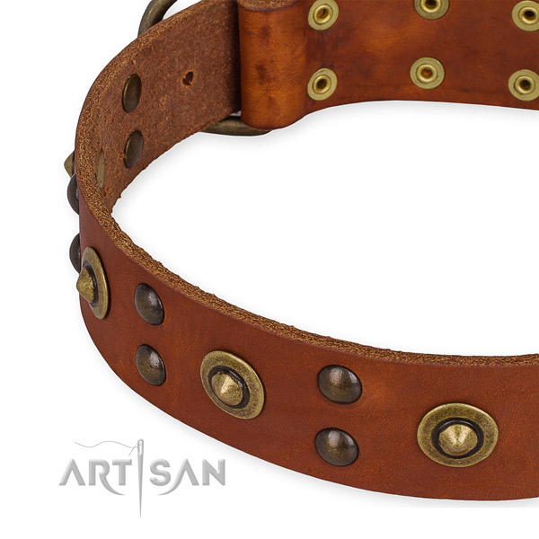 Full grain leather collar with strong fittings for your handsome dog