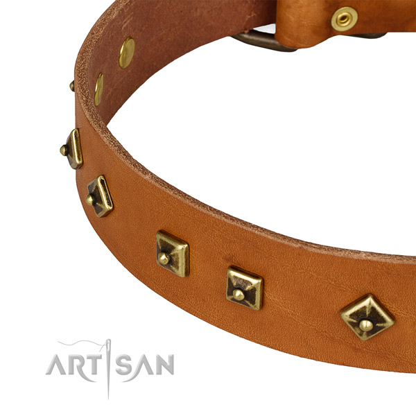 Adorned full grain genuine leather collar for your attractive four-legged friend