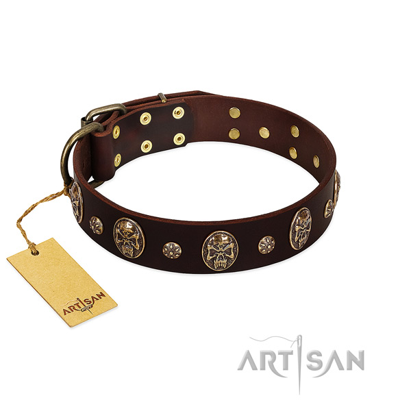 Incredible full grain natural leather collar for your canine