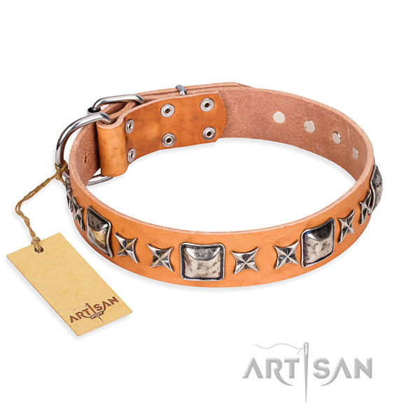Walking dog collar of fine quality natural leather with decorations