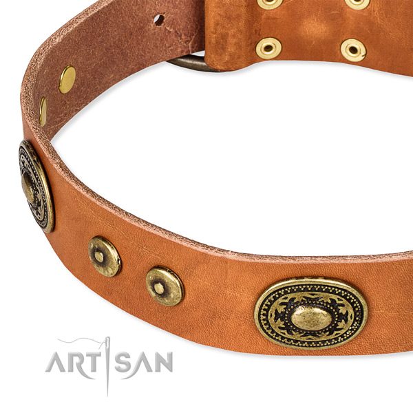 Natural genuine leather dog collar made of top rate material with embellishments