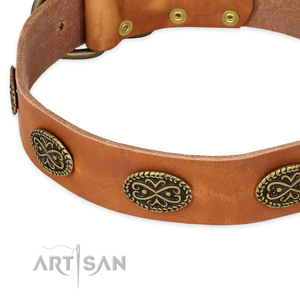 Top notch genuine leather collar for your stylish pet