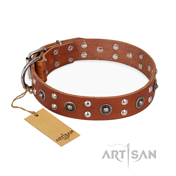 Fancy walking fashionable dog collar with rust resistant D-ring