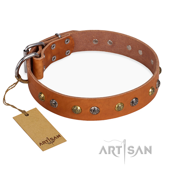 Stylish walking amazing dog collar with reliable traditional buckle