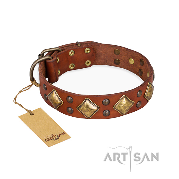 Fancy walking embellished dog collar with reliable fittings