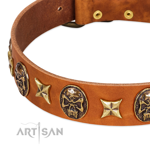 Corrosion proof decorations on leather dog collar for your four-legged friend