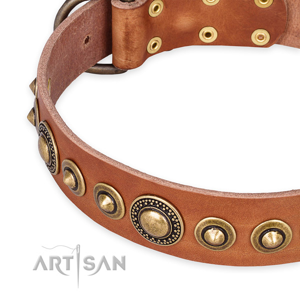 Flexible full grain leather dog collar handcrafted for your handsome pet