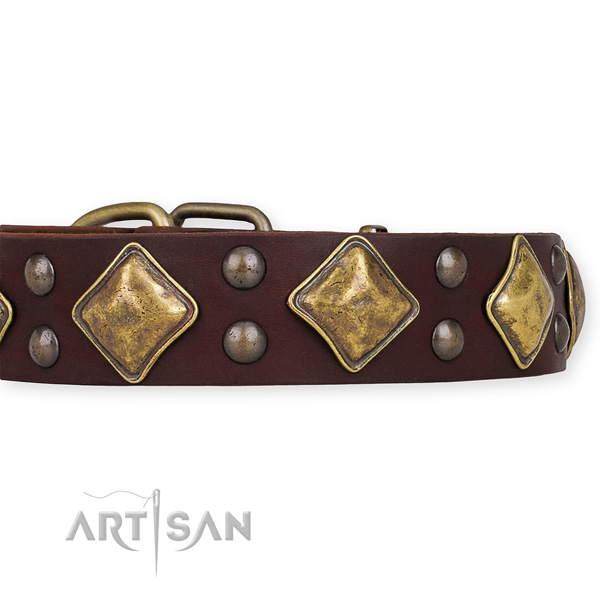 Natural leather dog collar with extraordinary reliable adornments