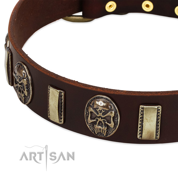 Reliable embellishments on full grain natural leather dog collar for your pet