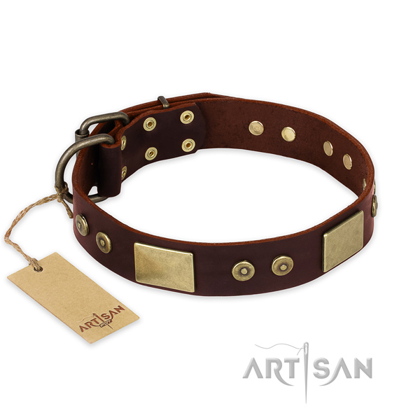 Exceptional leather dog collar for handy use