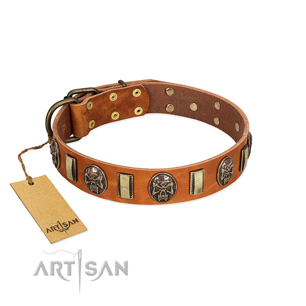 Best quality full grain genuine leather dog collar for basic training