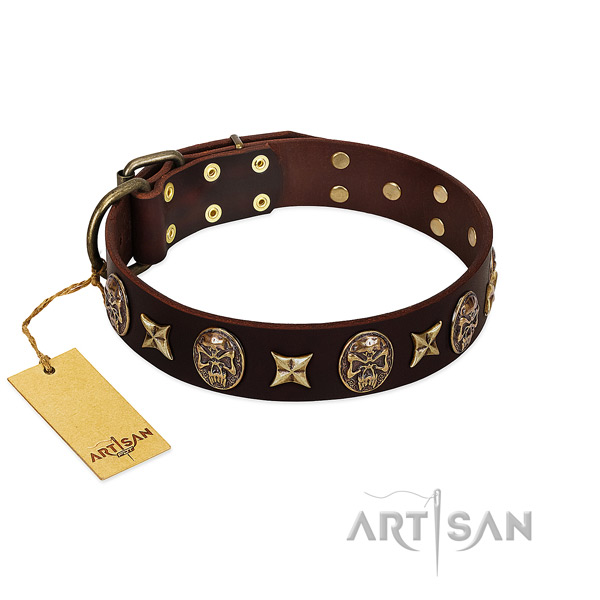 Fashionable full grain genuine leather collar for your doggie