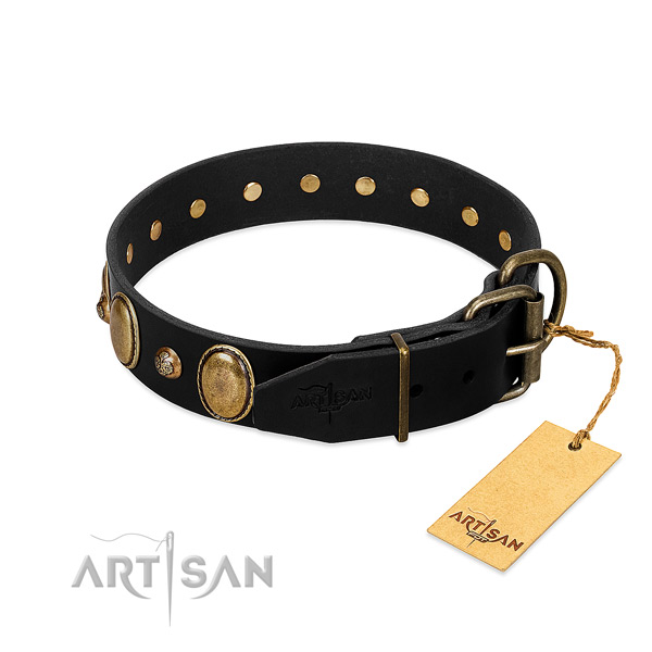 Rust-proof buckle on full grain genuine leather collar for fancy walking your pet