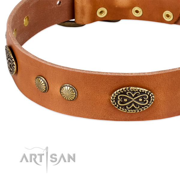 Rust-proof studs on Genuine leather dog collar for your dog
