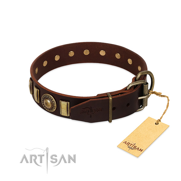 Significant leather dog collar with rust-proof hardware