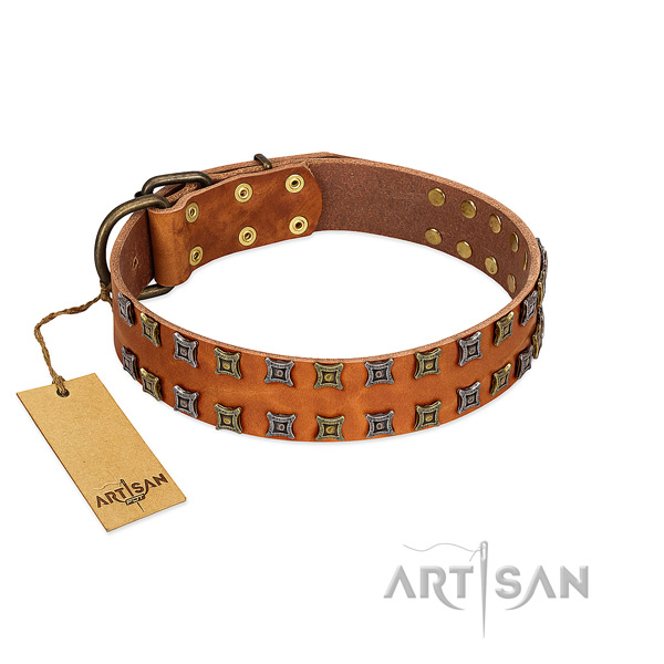 Flexible genuine leather dog collar with studs for your pet