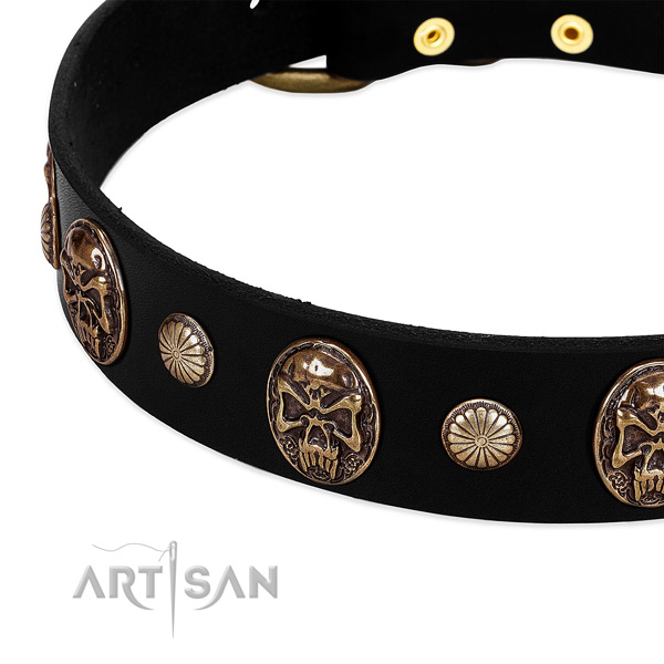 Full grain leather dog collar with fashionable studs
