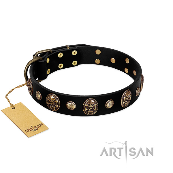 Natural leather dog collar with reliable decorations