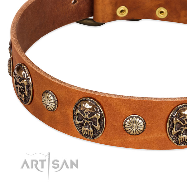 Rust resistant embellishments on genuine leather dog collar for your canine