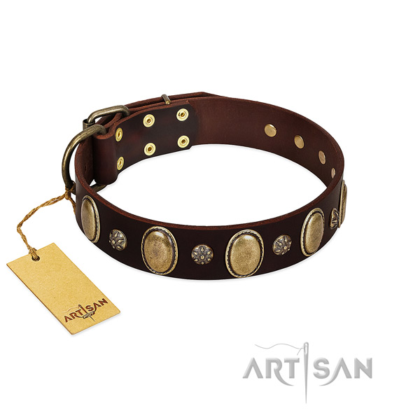 Walking top notch genuine leather dog collar with embellishments