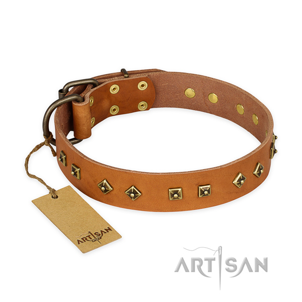 Decorated natural leather dog collar with durable hardware