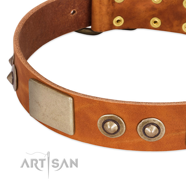 Rust resistant D-ring on genuine leather dog collar for your dog