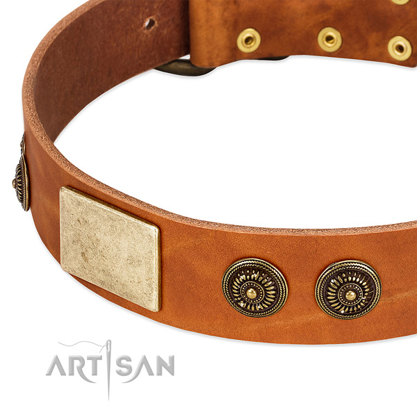 Fine quality dog collar created for your attractive dog