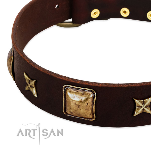 Rust-proof D-ring on natural genuine leather dog collar for your four-legged friend
