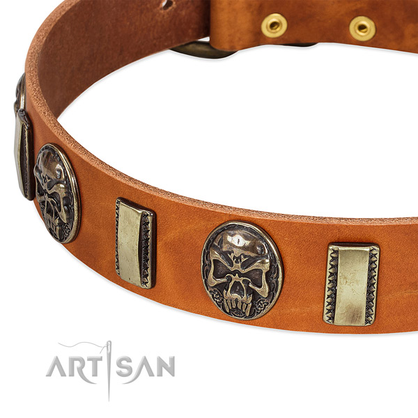 Reliable buckle on full grain leather dog collar for your four-legged friend