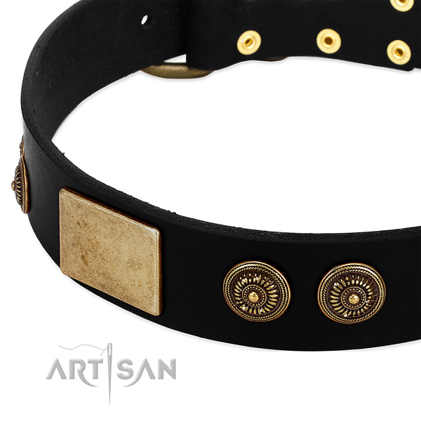 Rust-proof studs on full grain leather dog collar for your canine