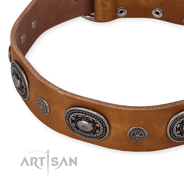 Strong full grain leather dog collar made for your impressive dog
