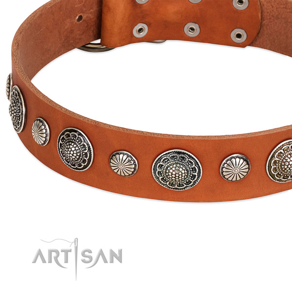 Full grain genuine leather collar with corrosion resistant fittings for your impressive four-legged friend