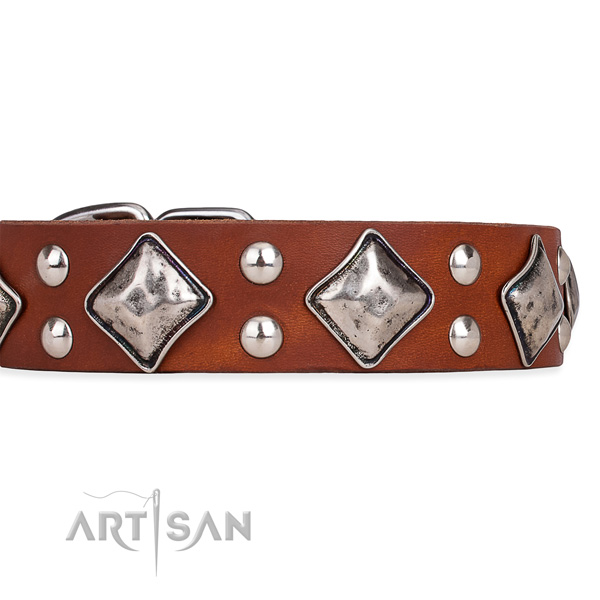 Full grain genuine leather dog collar with amazing strong decorations