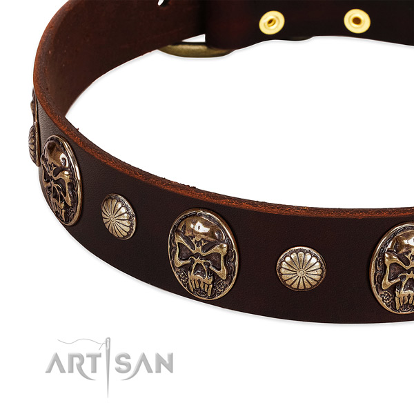 Full grain natural leather dog collar with embellishments for daily use