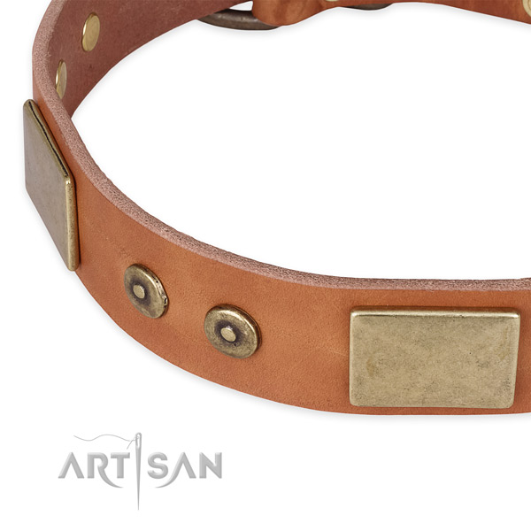 Rust-proof hardware on natural genuine leather dog collar for your four-legged friend