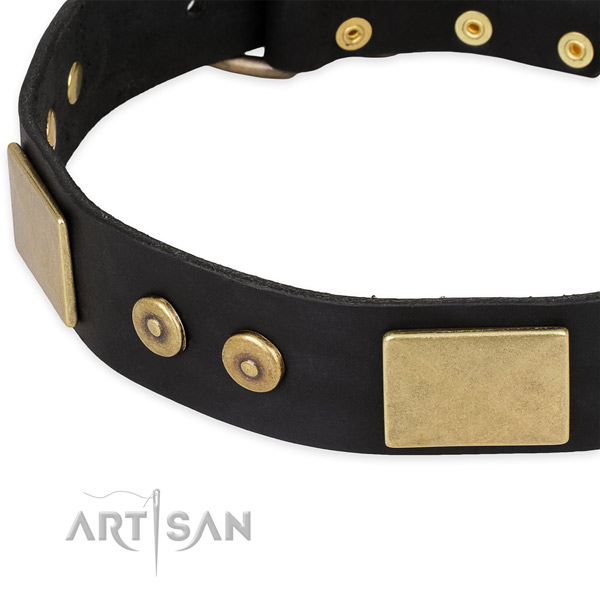 Rust-proof buckle on full grain natural leather dog collar for your four-legged friend