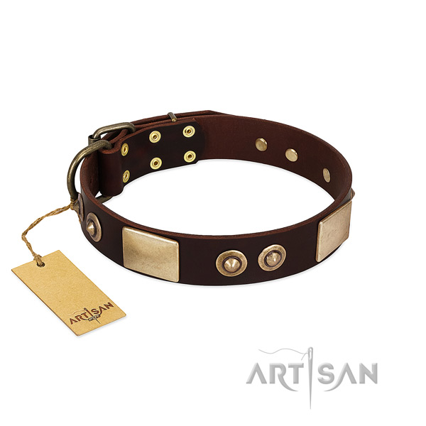 Easy to adjust full grain leather dog collar for stylish walking your pet