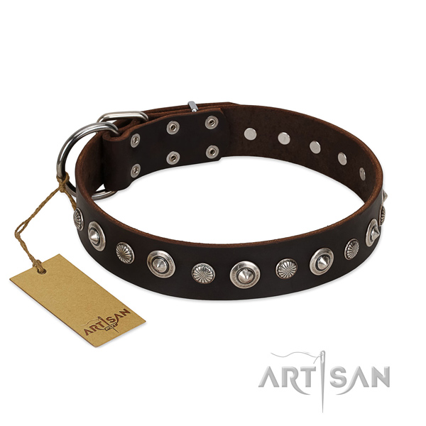 Strong genuine leather dog collar with incredible decorations