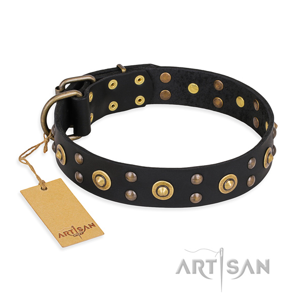 Handy use designer dog collar with rust-proof buckle