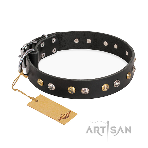 Daily use exceptional dog collar with durable buckle