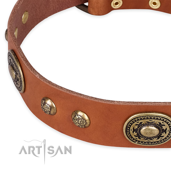 Handcrafted genuine leather collar for your beautiful canine