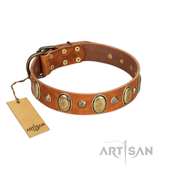 Full grain genuine leather dog collar of reliable material with awesome adornments