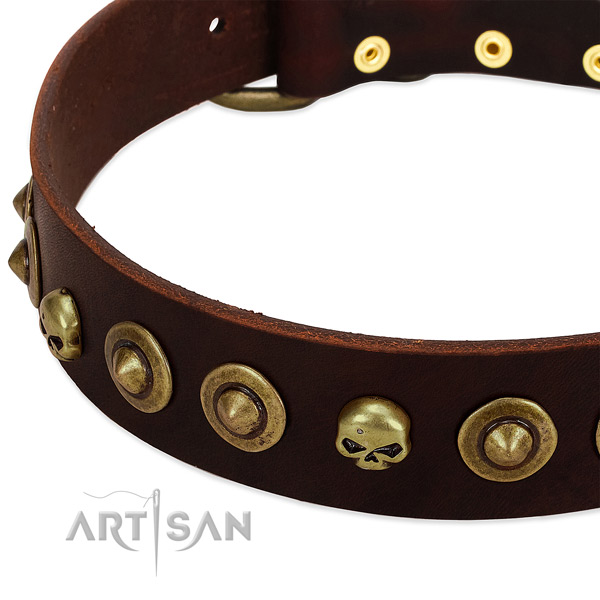 Remarkable embellishments on full grain natural leather collar for your doggie
