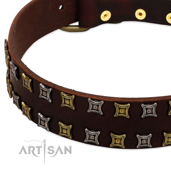 High quality genuine leather dog collar for your beautiful dog