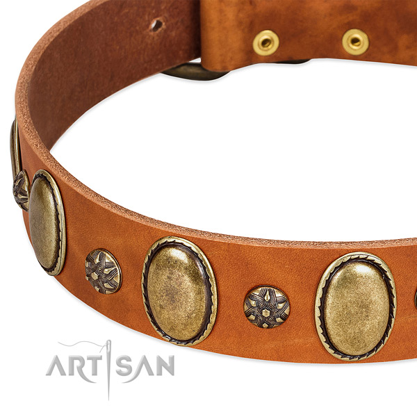Stylish walking top notch full grain genuine leather dog collar