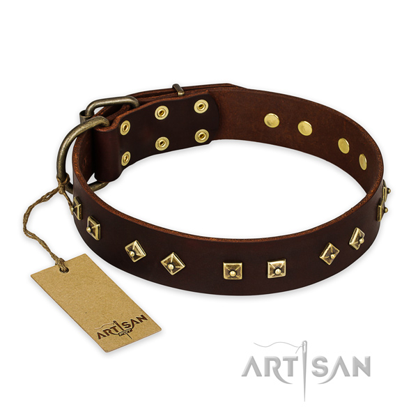 Amazing full grain leather dog collar with strong traditional buckle