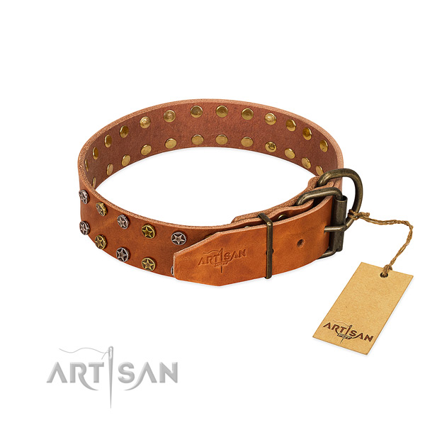 Handy use full grain natural leather dog collar with remarkable embellishments