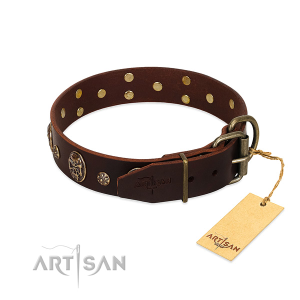 Corrosion proof decorations on leather dog collar for your four-legged friend