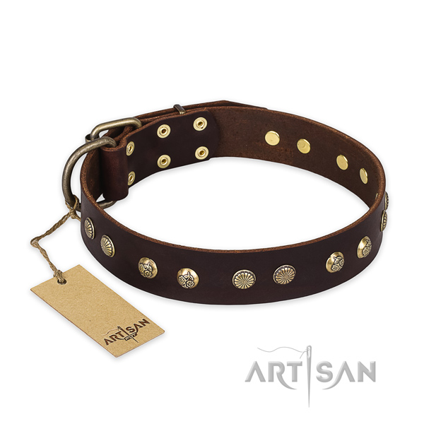 Stylish design leather dog collar with durable fittings