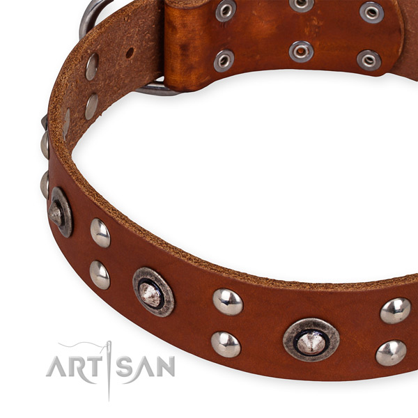 Genuine leather collar with corrosion proof buckle for your beautiful doggie